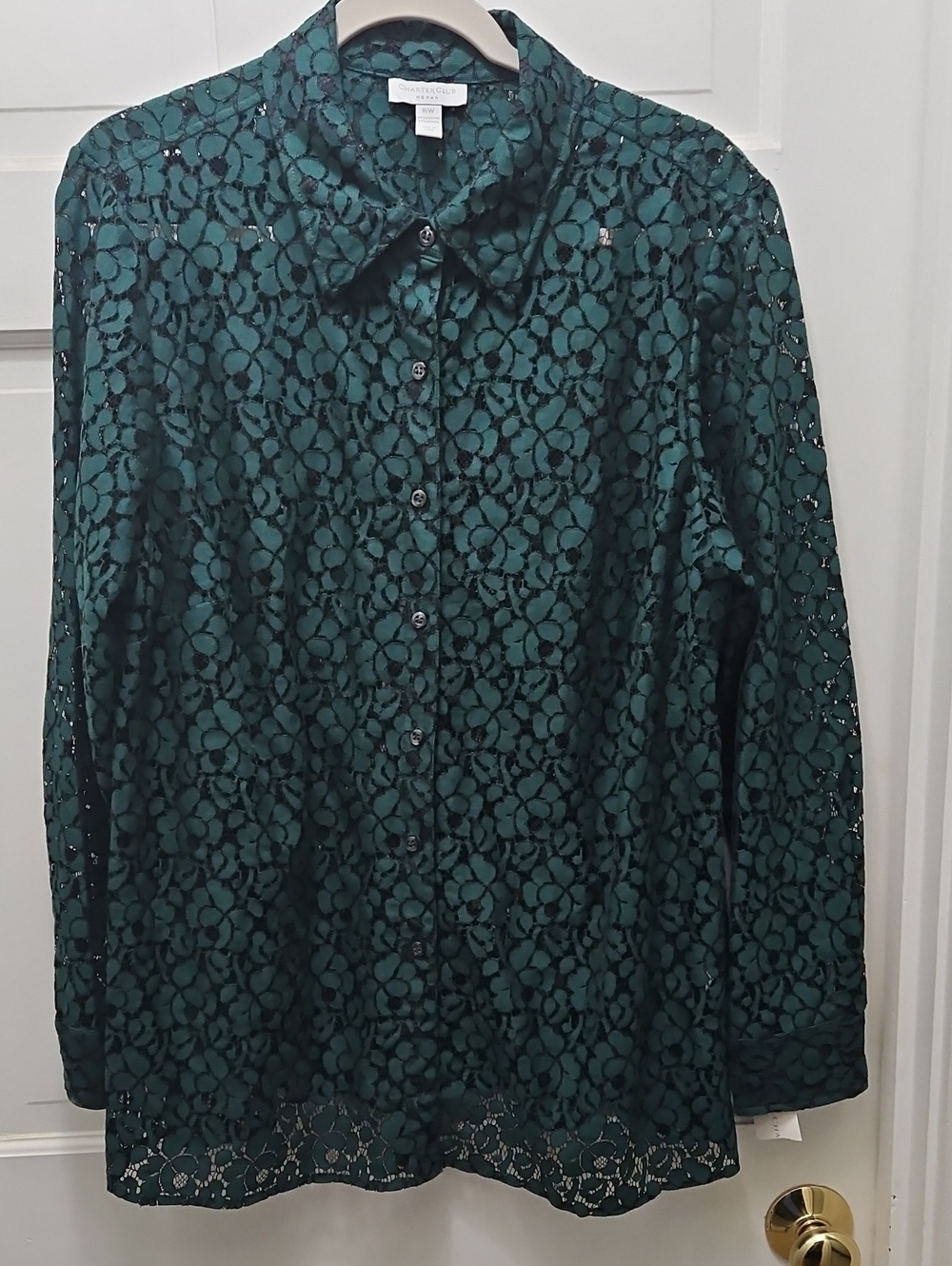 Women's Dark Emerald Green Floral Lace Button-Up Blouse 16W